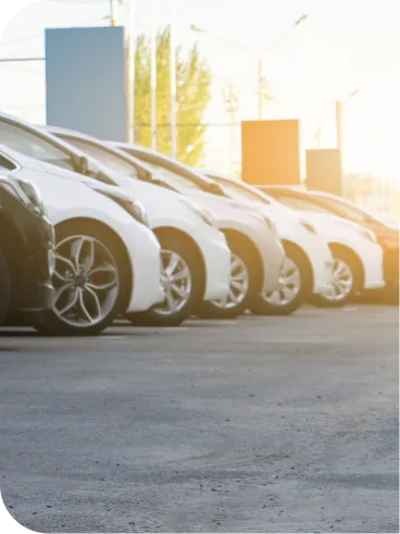 A row of white cars parked diagonally in a parking lot, with sunlight shining in the background.